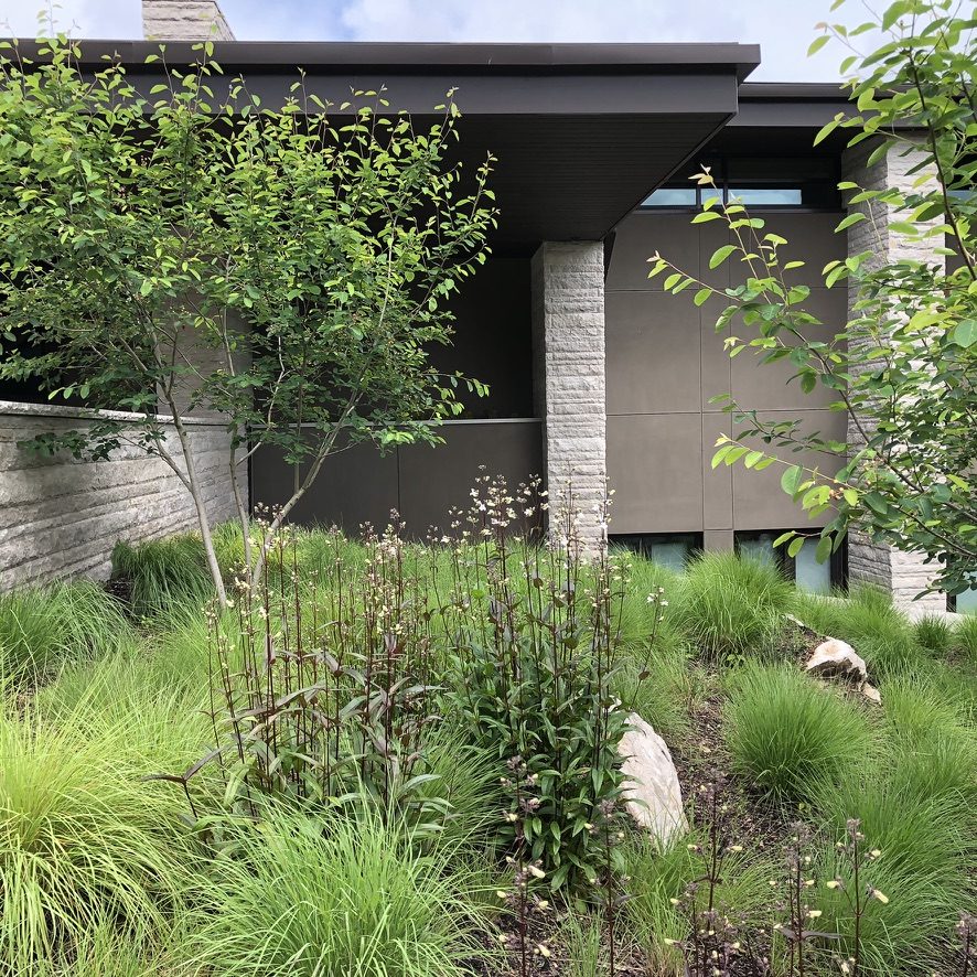 Layered grasses and flowering perennials against modern stone architecture
